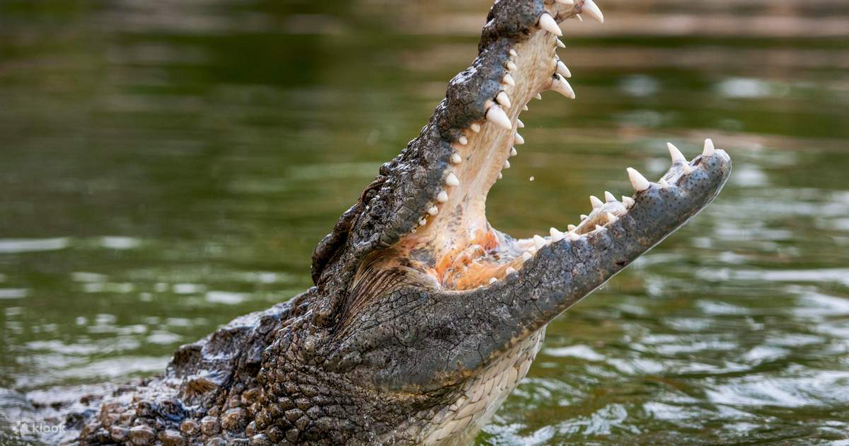 Crocs river sale mall